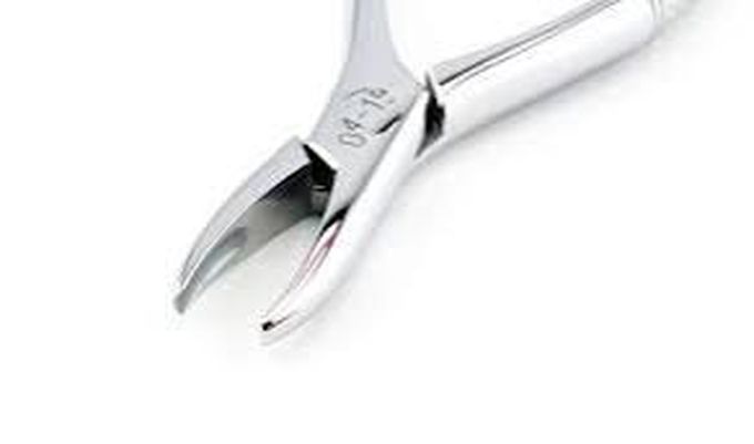 Anterior BDR forcep