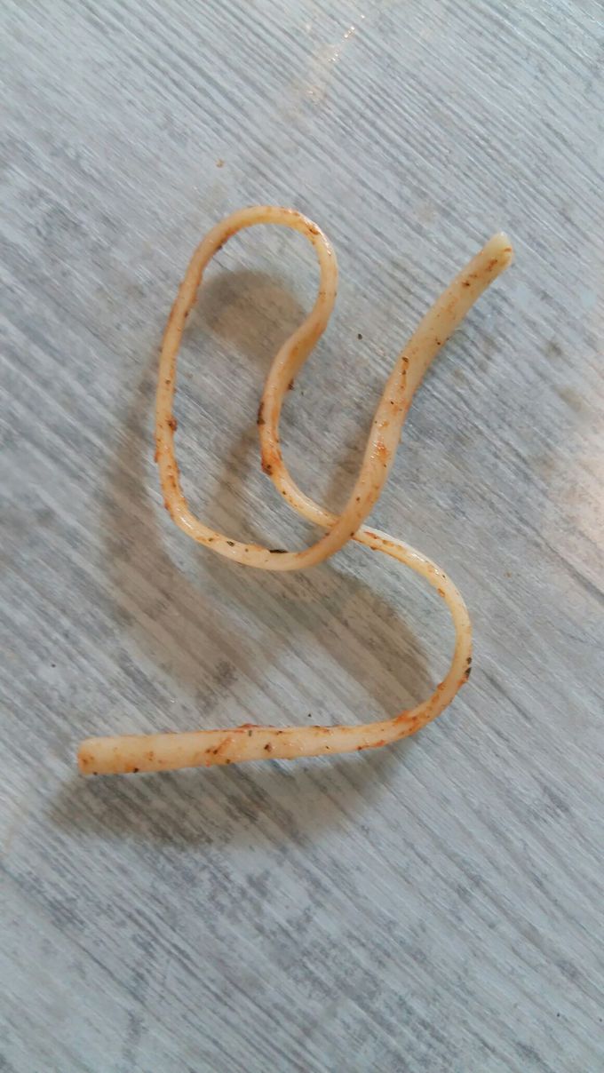 Guess what is this 