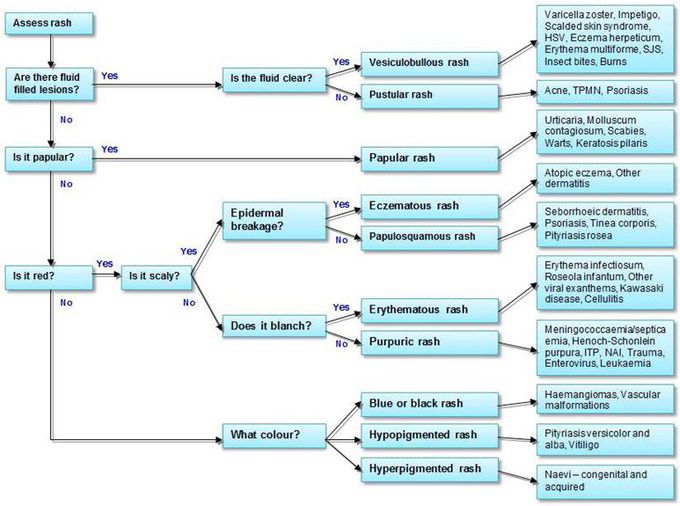 Paediatric Rash Algorithm