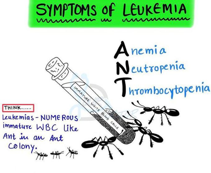Symptoms of leukema