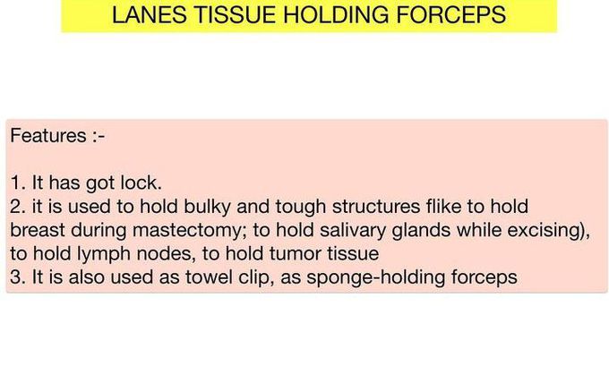 Lanes Tissue Holding Forceps