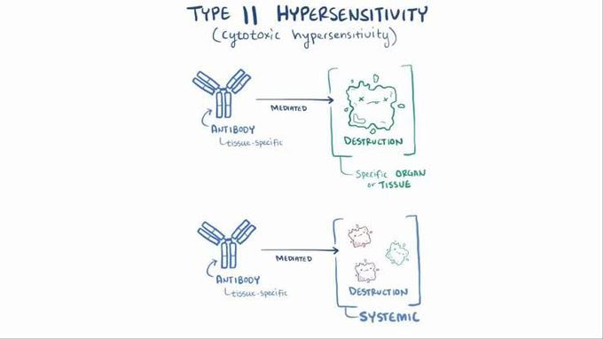 Cytotoxic hypersensitivity
