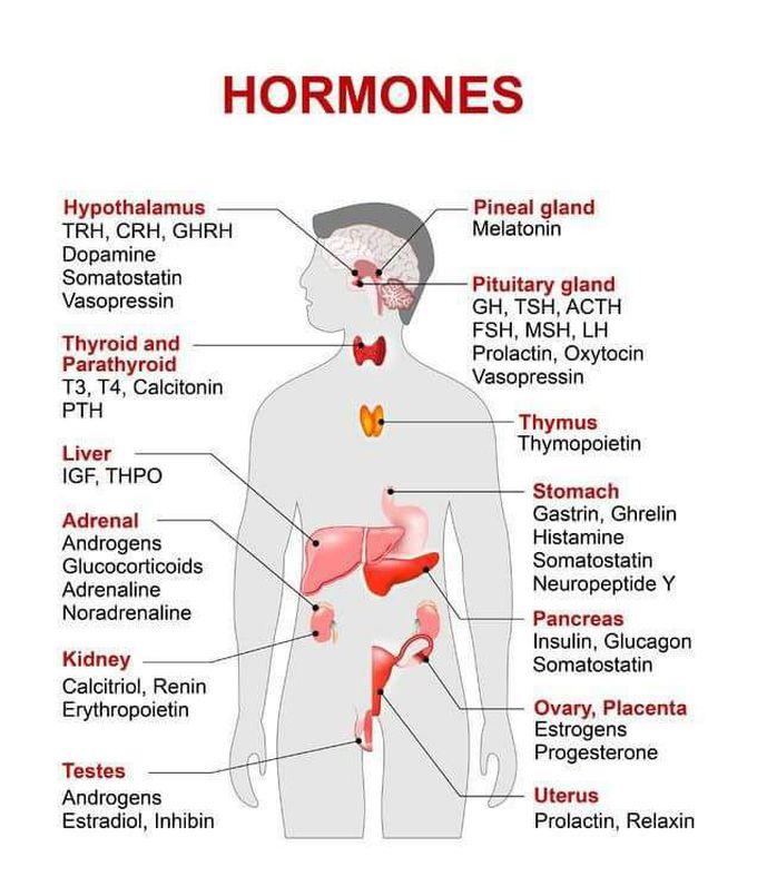 Hormones