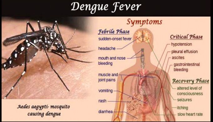 Dengue fever