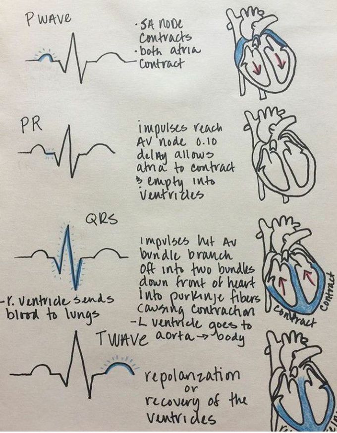 Cardiology