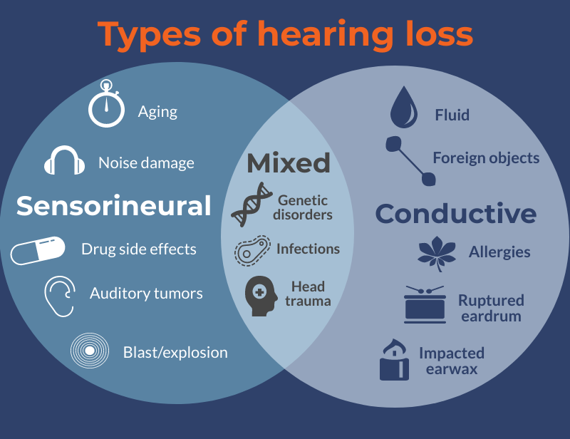 Sensorineural Hearing Loss MEDizzy