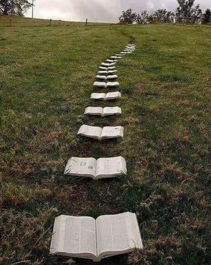 On The Path Of Reading 📚 📚 📚 📚 📚
