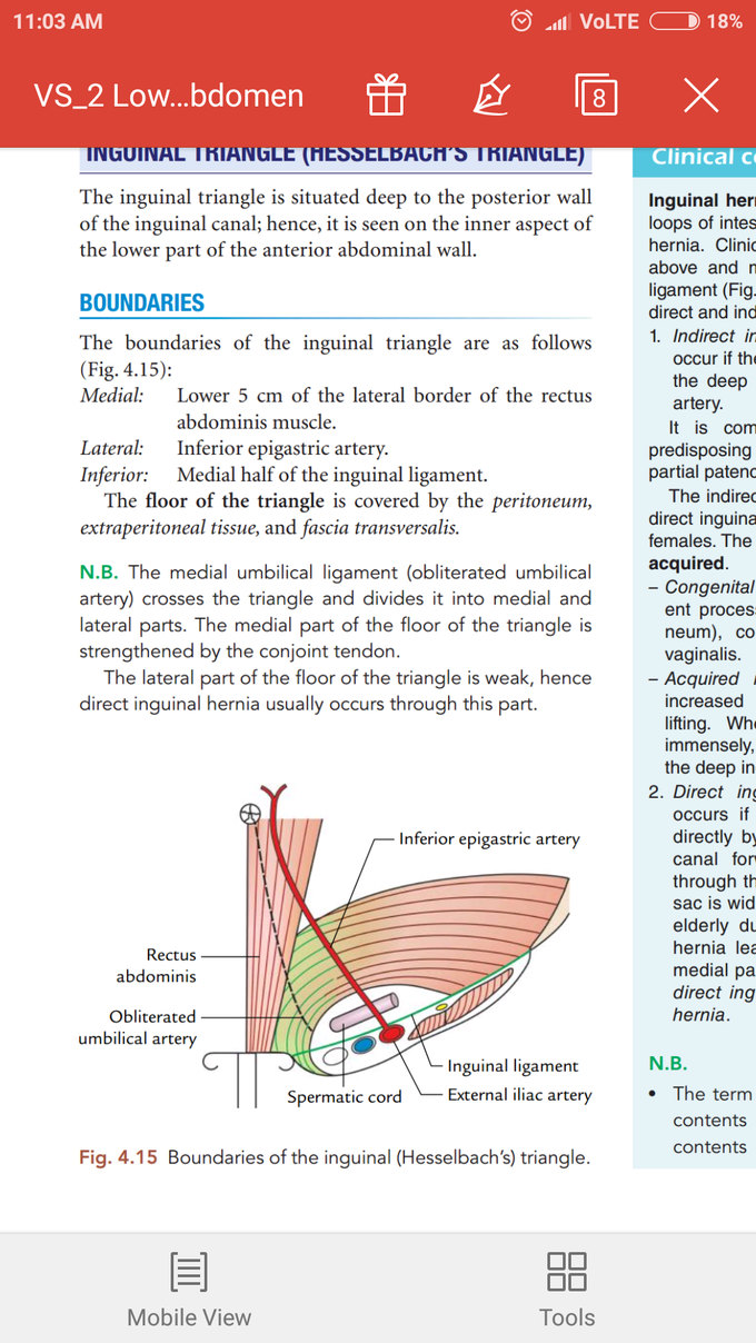 Useful note for anatomy students
