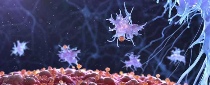 Scientists Have Discovered How to Recruit And Reprogram Skin Cells to Fight Cancer