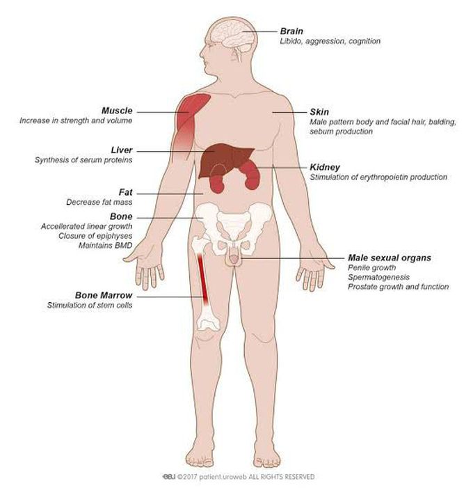 Symptoms of male hypogonadism
