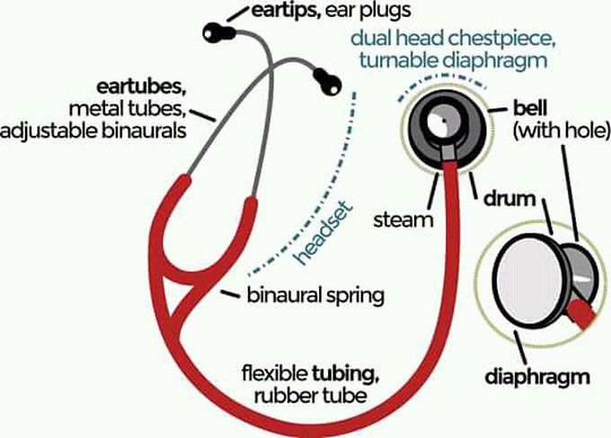 This is classification of stetoscope