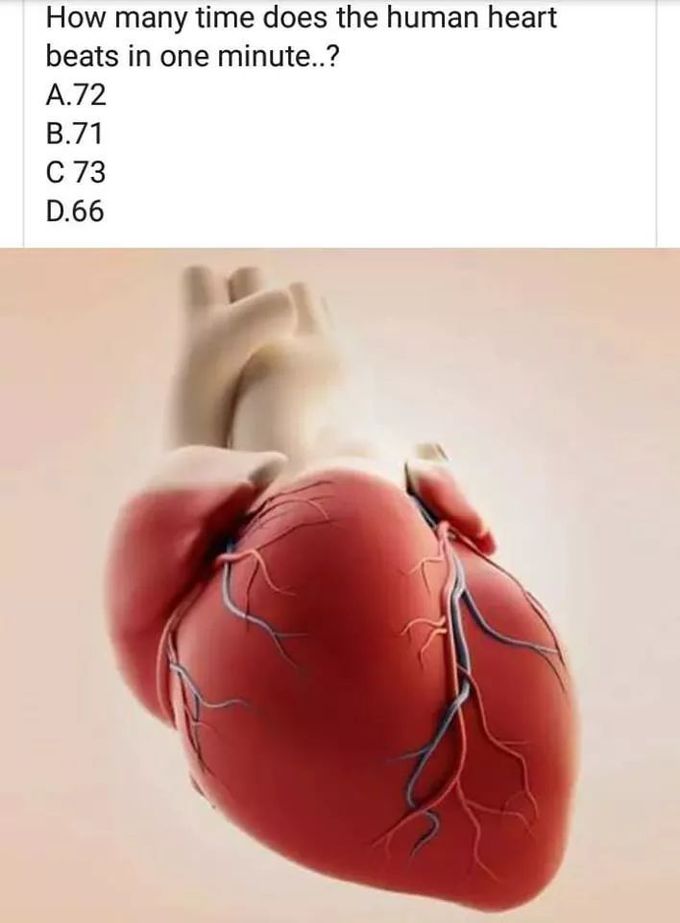 Human Heart Rate❤