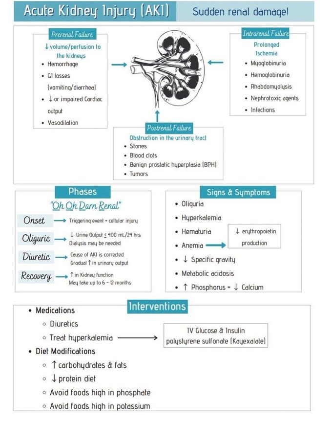 Acute Kidney Injury - MEDizzy