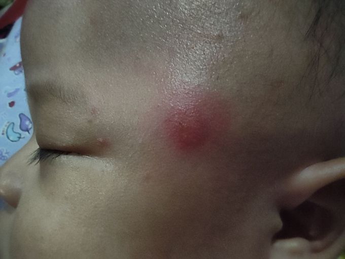 Anyone know what is this?