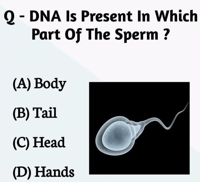 DNA in Sperm