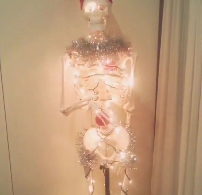 Skeleton chrisrtmas tree😉