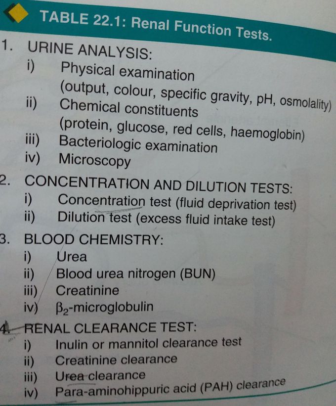 Renal Function Tests