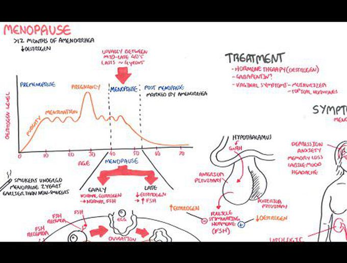 Menopause