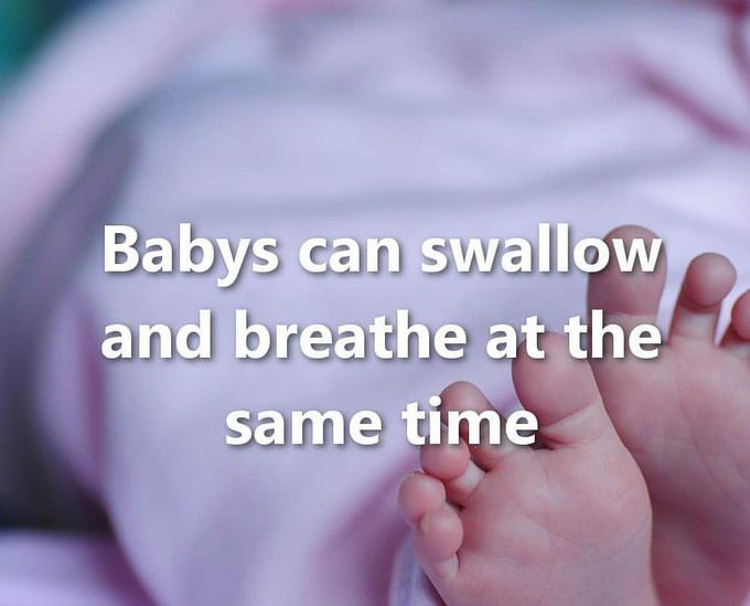 Baby fact