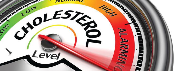 Cholesterol Transport and Absorption- The Boon and Bane