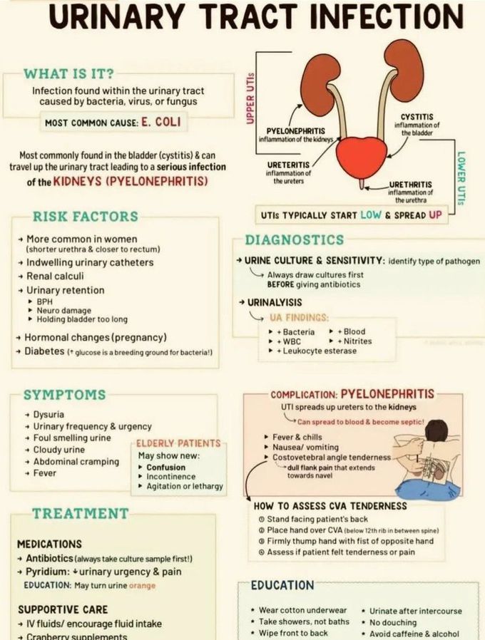 Urinary Tract Infection