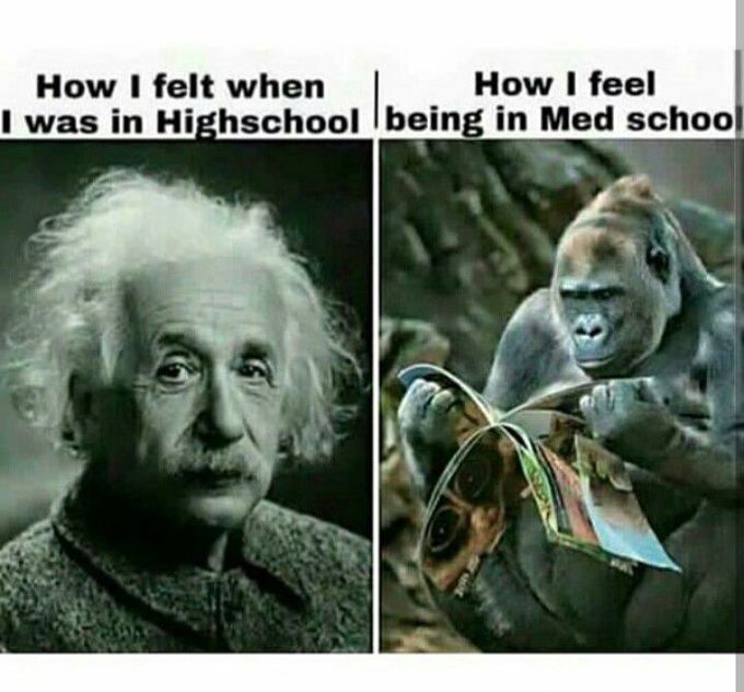 GENIUS 😋