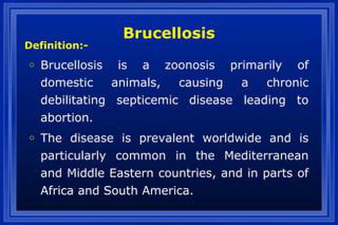 Brucellosis