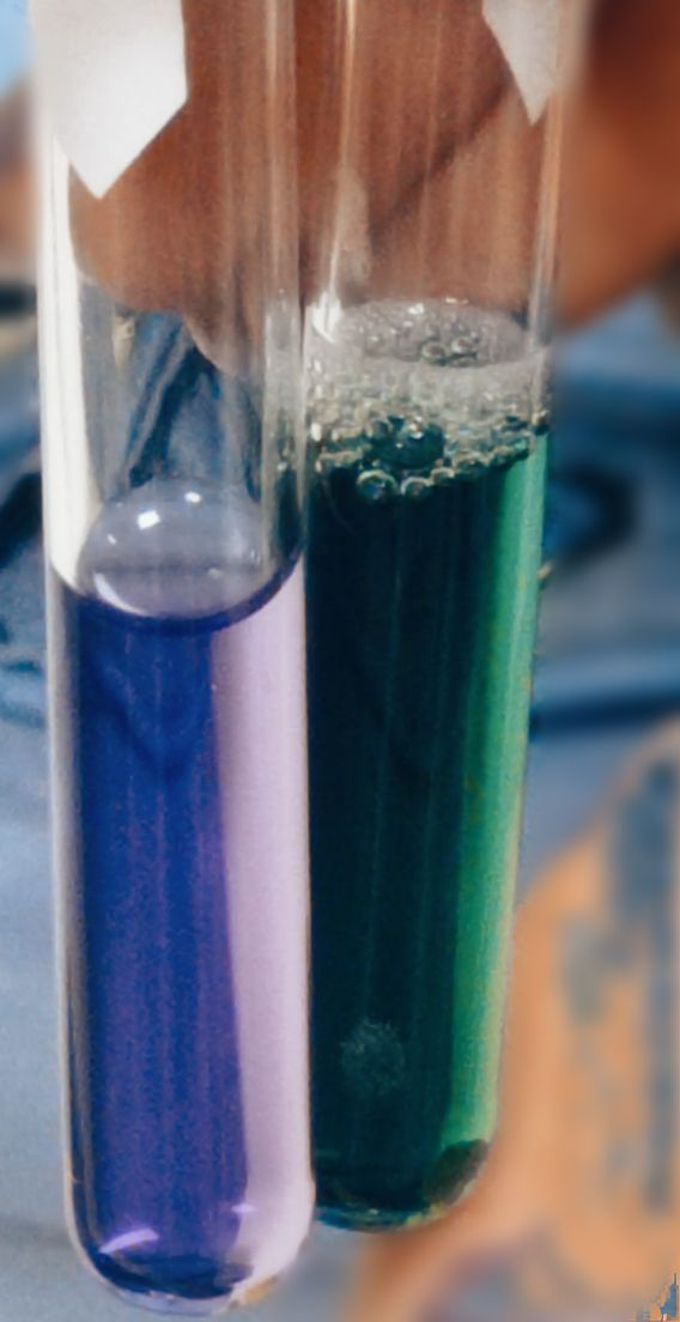 Total plasma proteins and albumin test