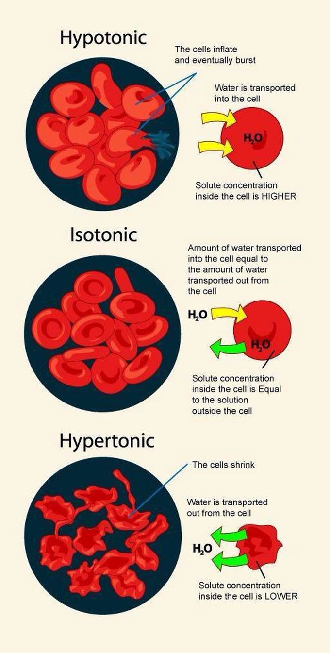 Little concpts that we get confused most the time ( may be it's only mee)