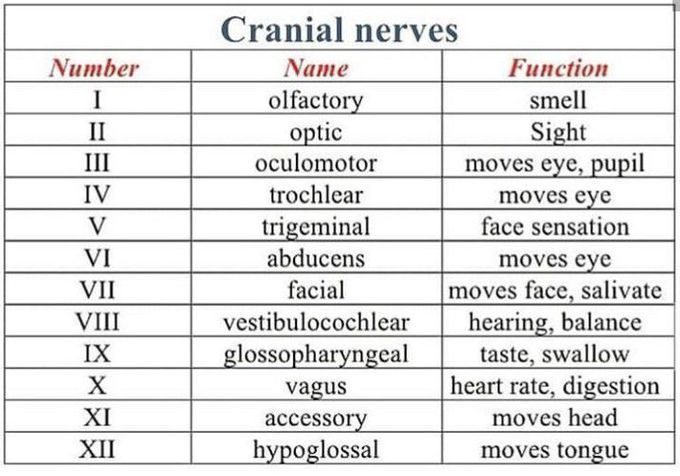 Knowledge for you