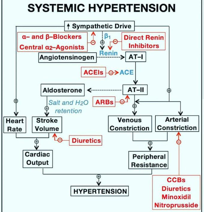 Systemic HTN