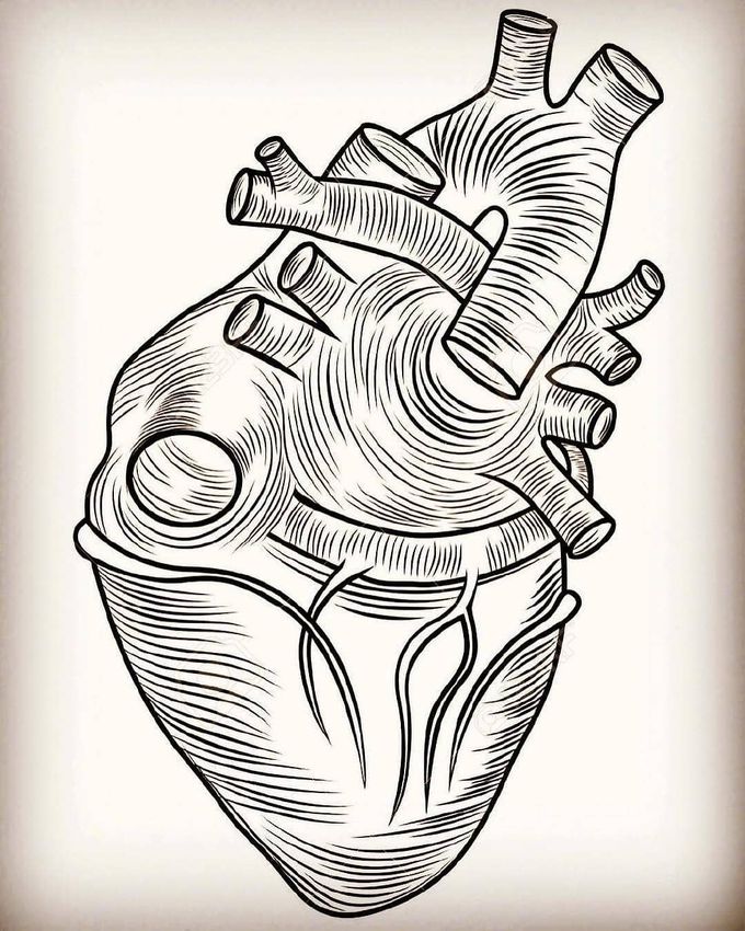 ❖ High-Yield Cardiology Facts :
