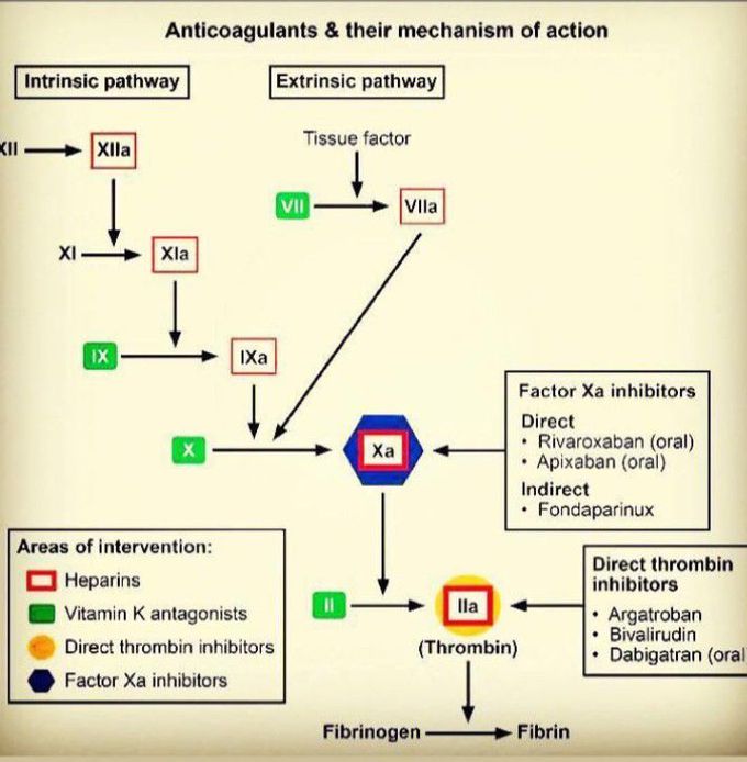 Mechanism of CLOT formation and ANTICOAGULANT