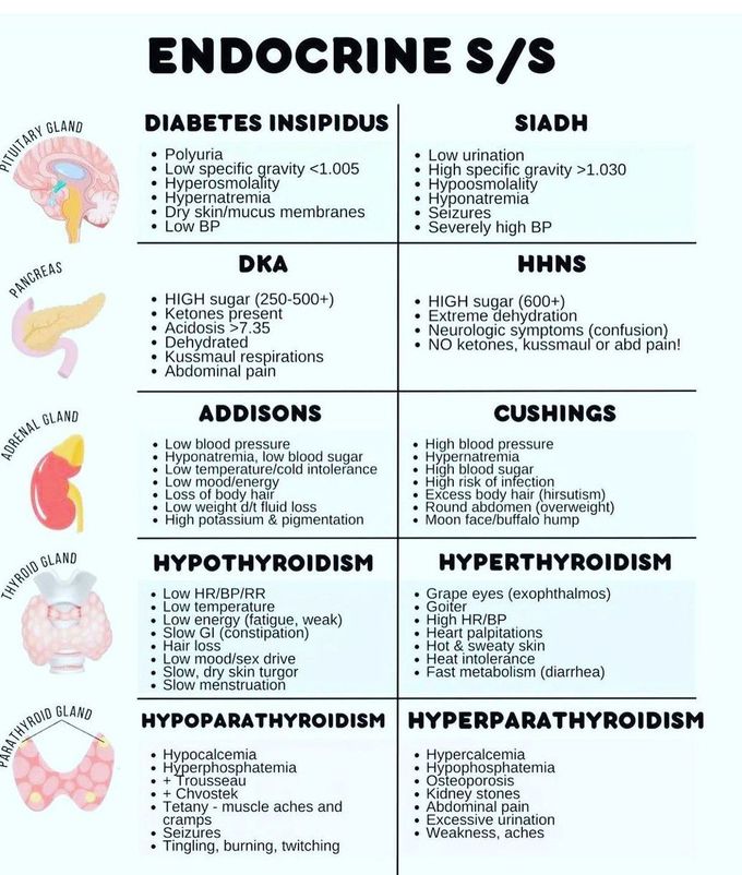 Endocrine Review Sheet