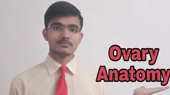 Anatomy of ovary