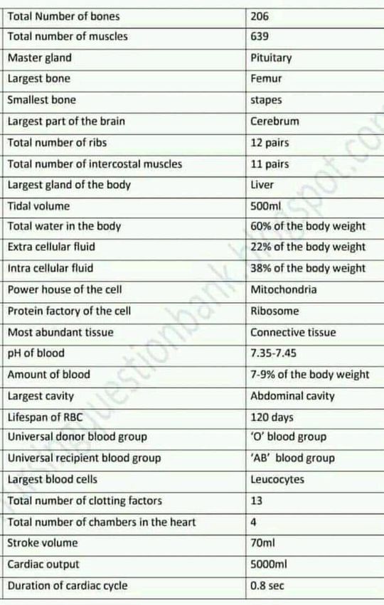 Some important information about medicine - MEDizzy