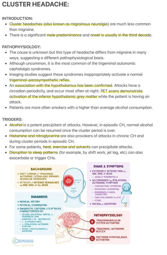 Cluster Headache