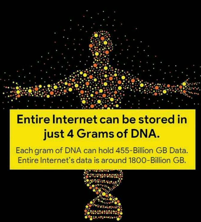 Entire internet in human DNA😮