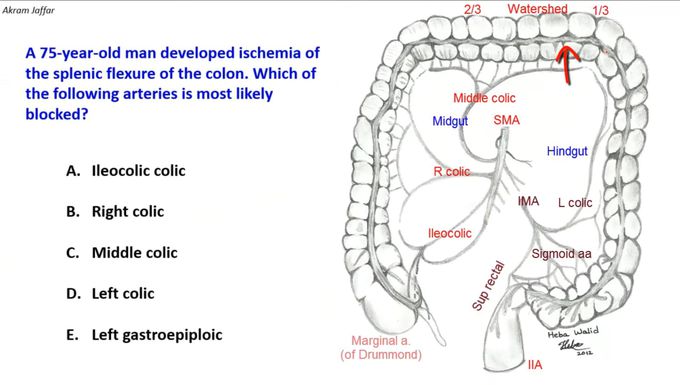 splenic flexure