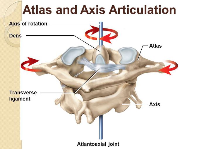 Atlas and axis rotation 