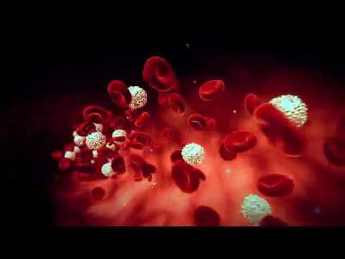 Histology- Animation of components of blood