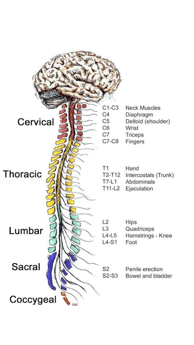 📝🧠👣