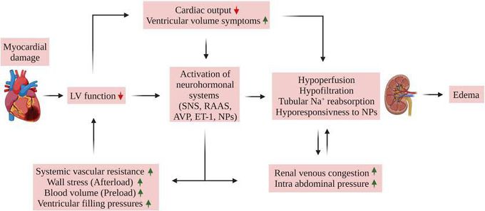 Pathology of Congestive Heart Failure