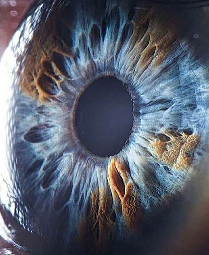 Blue eye