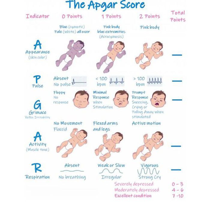 APGAR Score