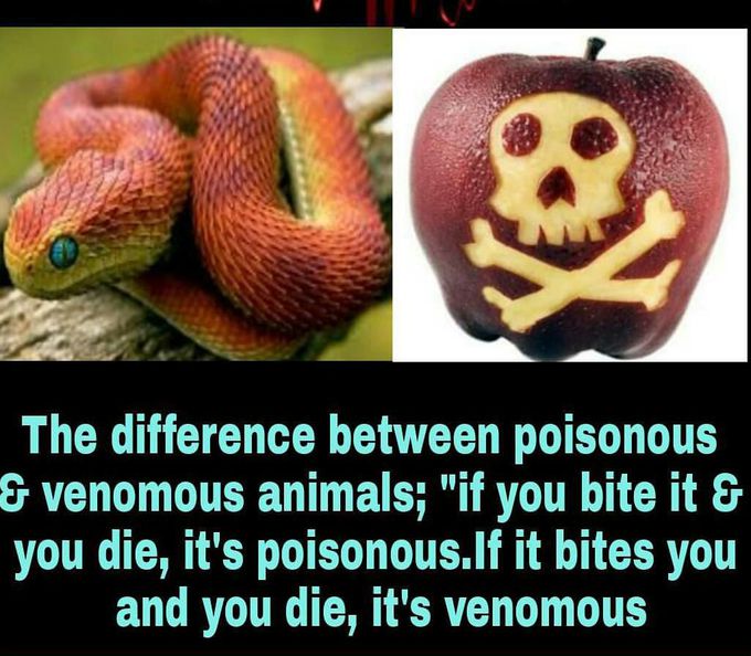 POISONOUS VS VENOMOUS
