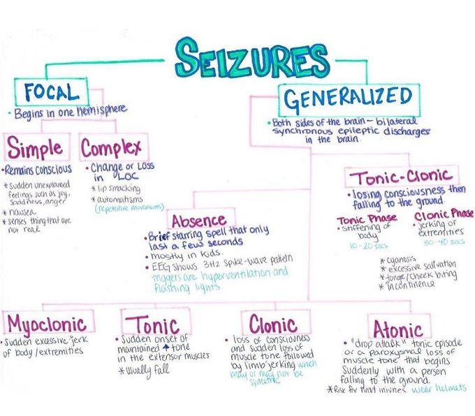 Seizures