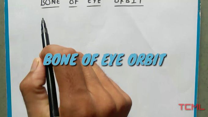 Bone of eye orbit