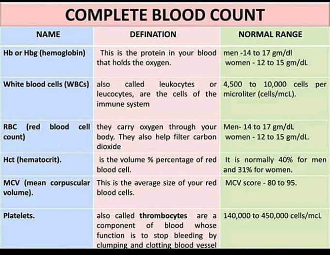 CBC (complete Blood Count) - MEDizzy