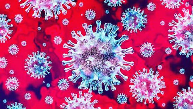 CORONA VIRUS (COVID-19)